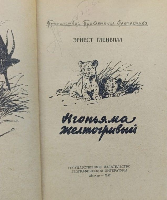 Нгоньяма желтогривый — изображение 2