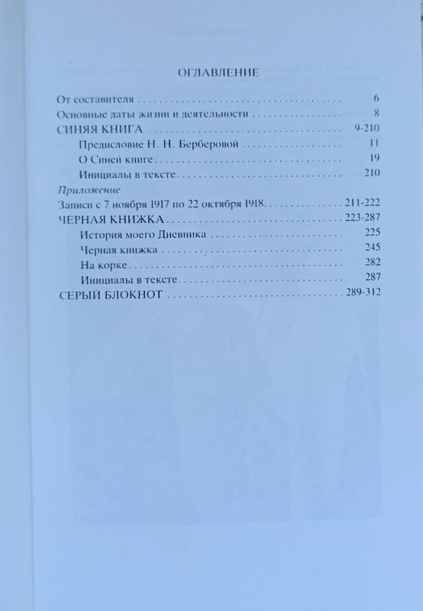 Петербургские дневники 1914-1919 — изображение 2