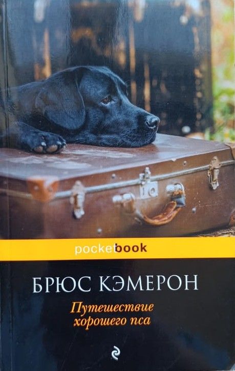 Путешествие хорошего пса