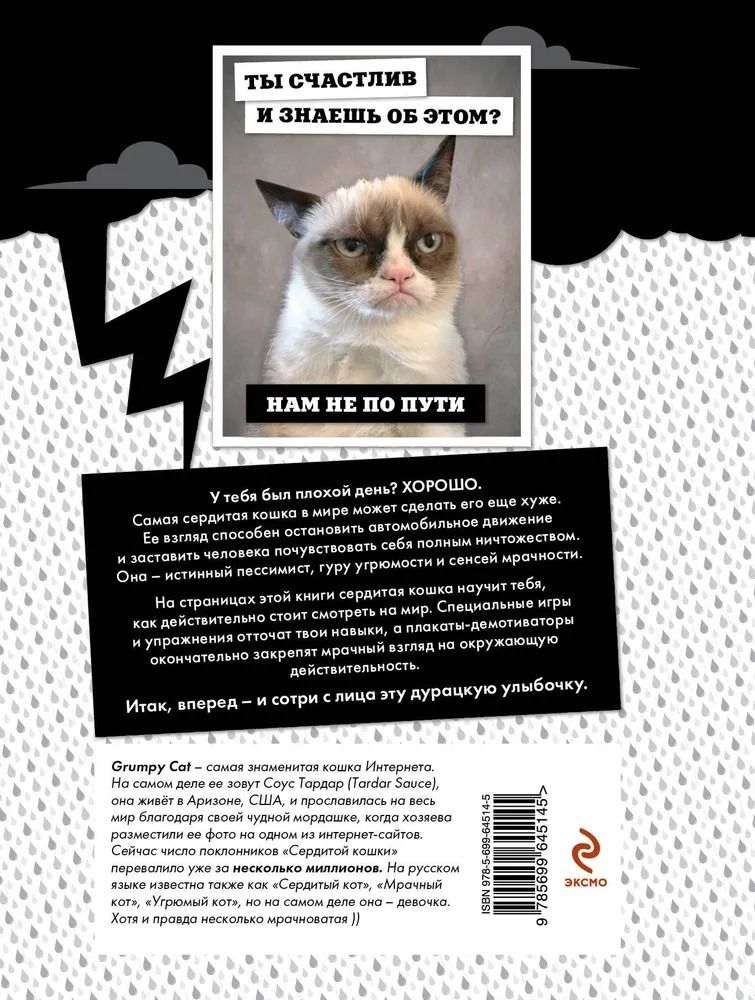 Grumpy Cat. Сердитая книга от самой сердитой кошки в мире — изображение 2