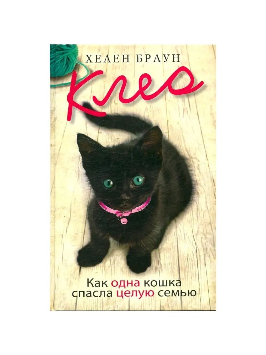Клео. Как одна кошка спасла целую семью