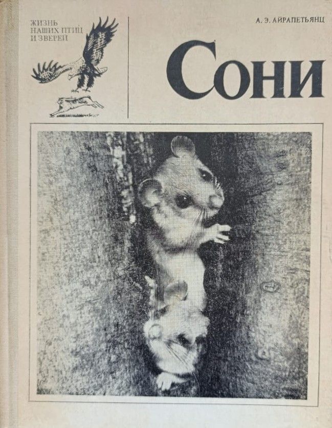 Сони. Серия: Жизнь наших птиц и зверей. Выпуск 5