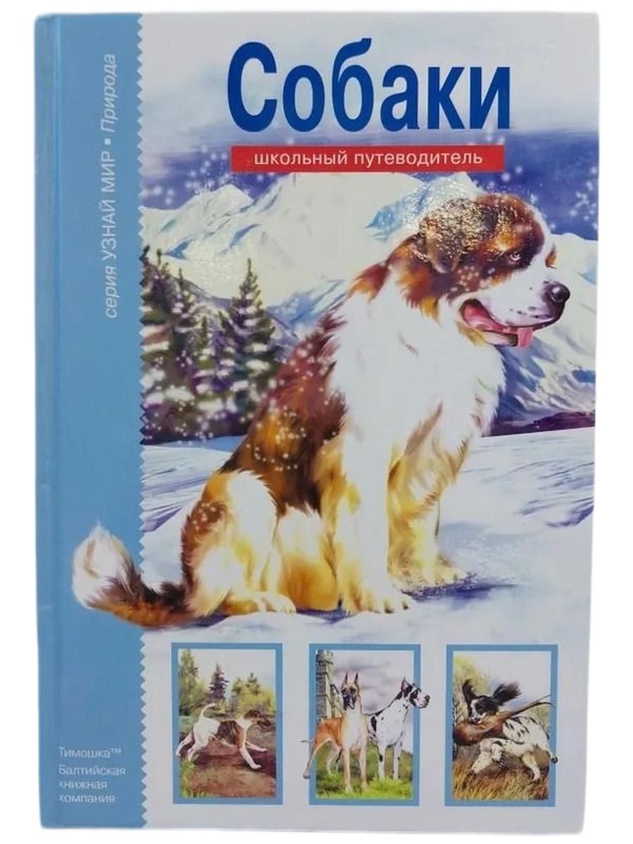 Собаки