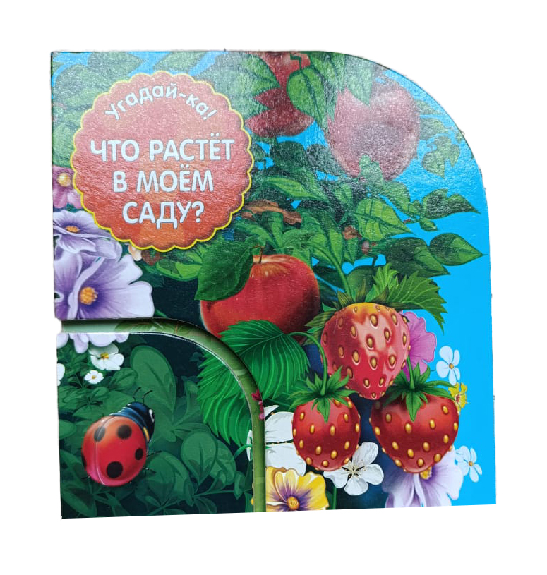 Что растёт в моём саду?