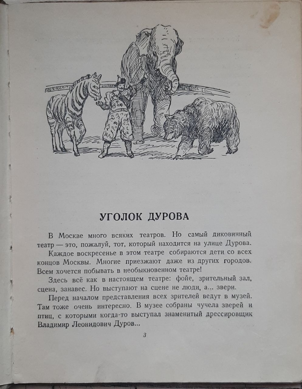 Мои звери — изображение 2