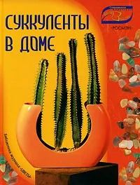 Суккуленты в доме