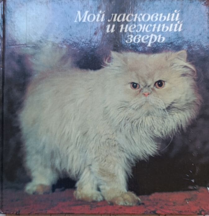 Мой ласковый и нежный зверь: Фотоальбом