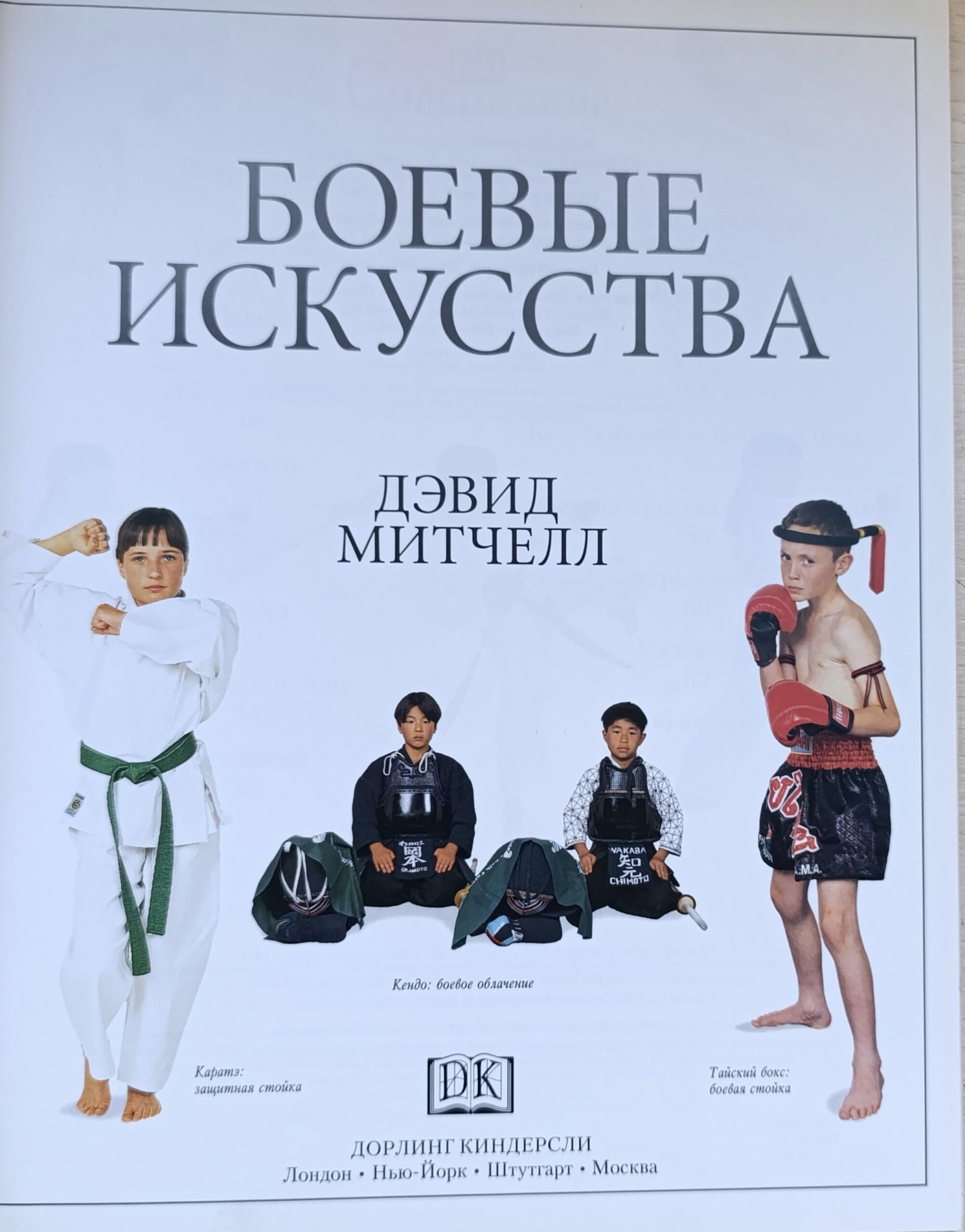 Боевые искусства — изображение 2