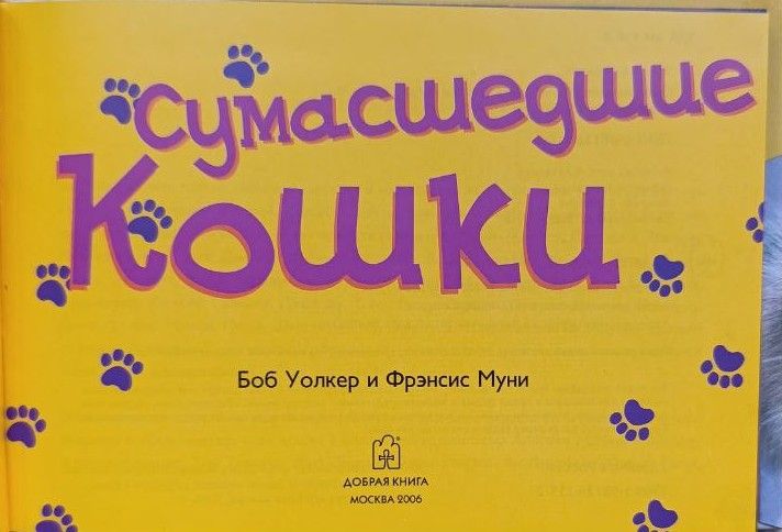 Сумасшедшие кошки — изображение 2