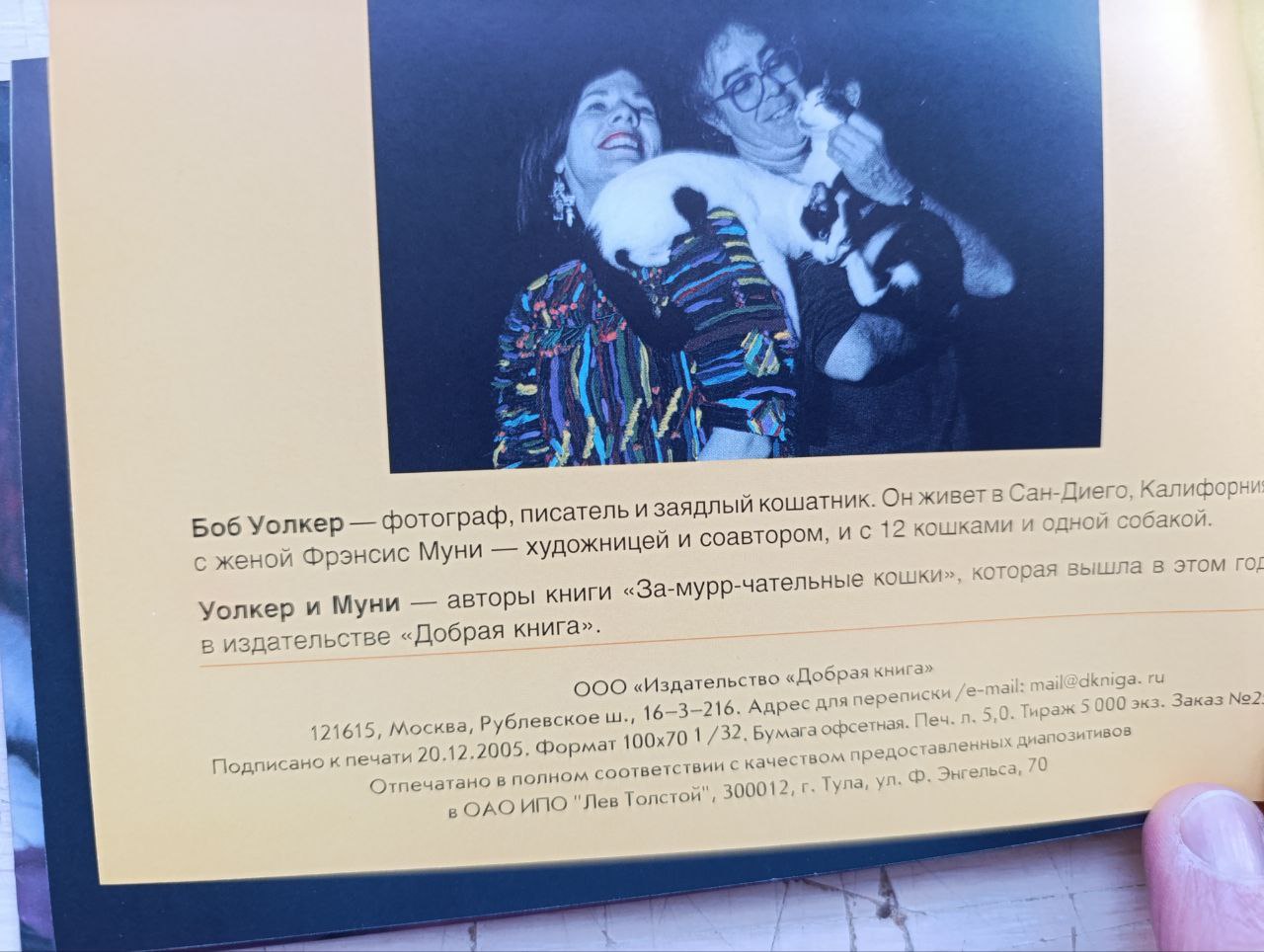 Сумасшедшие кошки — изображение 3