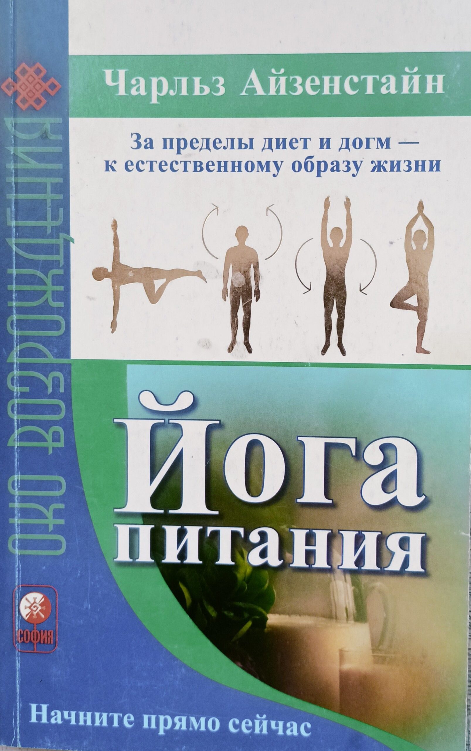 Йога питания: За пределы диет и догм - к естественному образу жизни