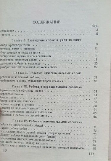 Охотничьи легавые собаки: выбор, воспитание, натаска и экстерьер — изображение 3