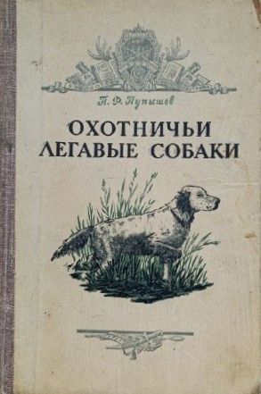 Охотничьи легавые собаки: выбор, воспитание, натаска и экстерьер