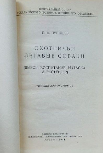 Охотничьи легавые собаки: выбор, воспитание, натаска и экстерьер — изображение 2