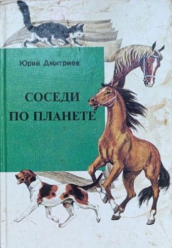 Соседи по планете: собаки, кошки, лошади