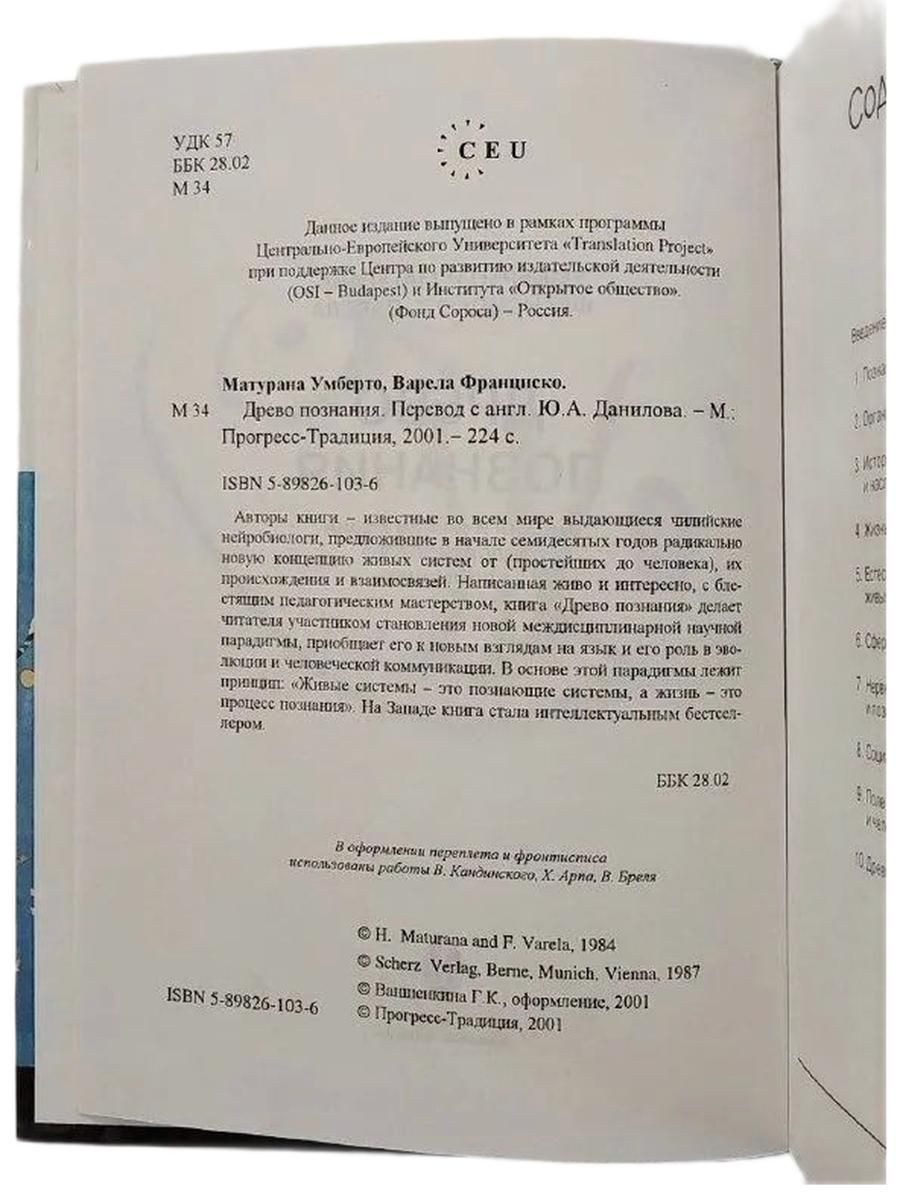 Древо познания — изображение 2